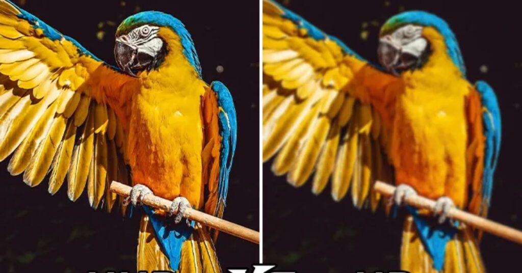 UHD Vs HD What Is The Difference? (2025 Updated Guide for U.S. Readers)